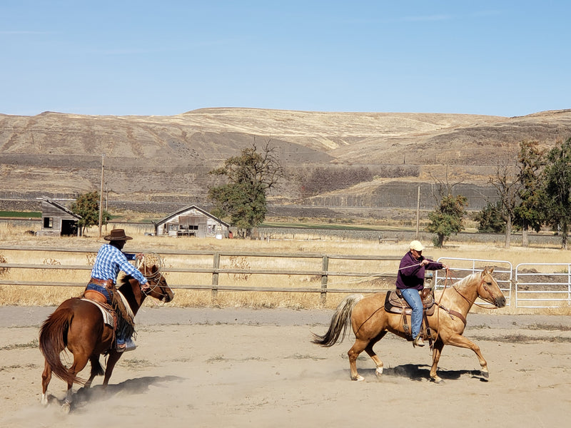 Hooper Crossing Ranch Clinic